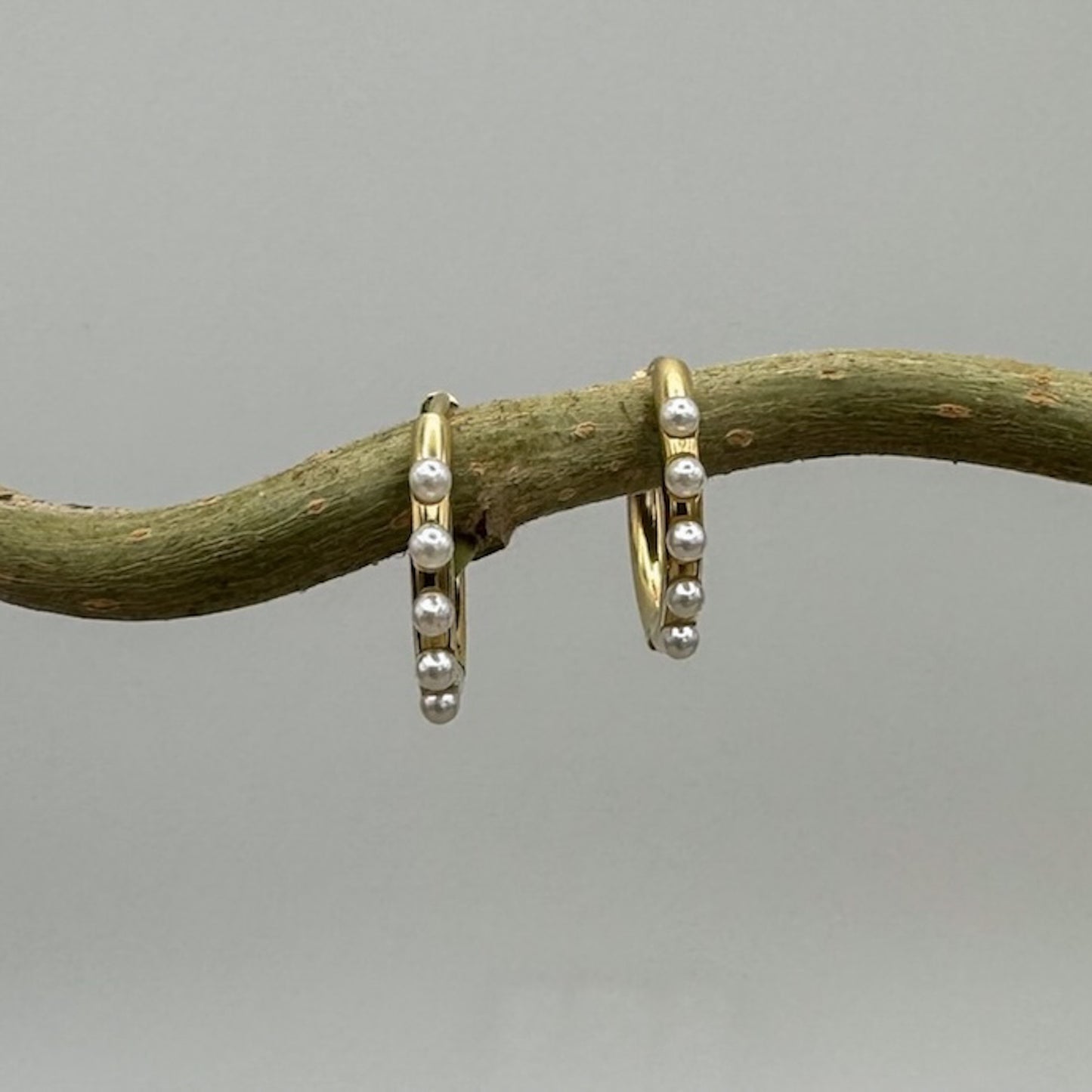 Pearly Creoles